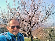 05 Selfie con ciliegi in fiore 